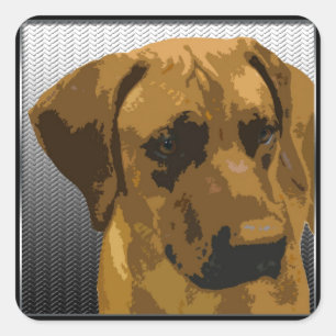 Pegatina Cuadrada Rhodesian Ridgeback