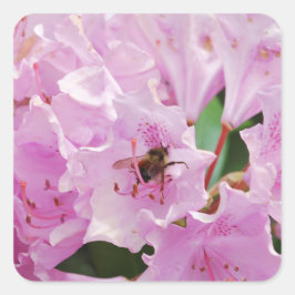 Pegatina Cuadrada Rhododendron Rosa y Abeja