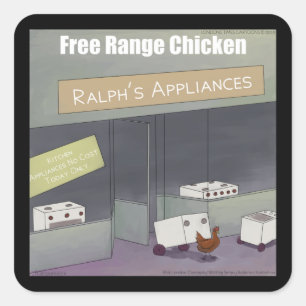 Pegatina Cuadrada Rick London Funny Free Range Chicken