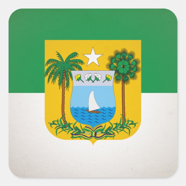 Pegatina Cuadrada Río Grande del Norte (Anverso)