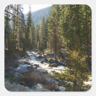 Pegatina Cuadrada Río Kaweah en el Parque Nacional Sequoia