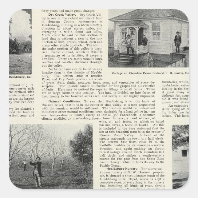 Pegatina Cuadrada Riverdale Prune Orchard, California (Anverso)