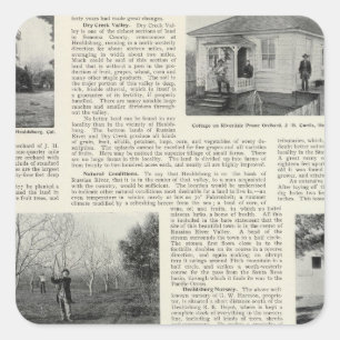 Pegatina Cuadrada Riverdale Prune Orchard, California