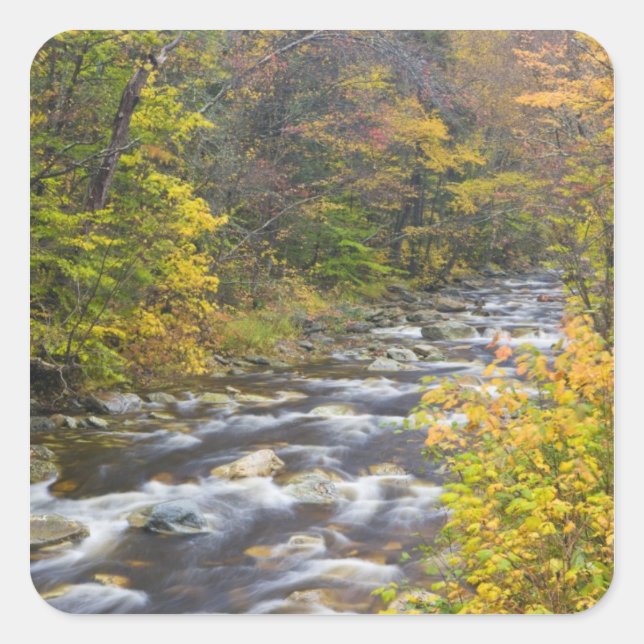 Pegatina Cuadrada Roaring Brook en otoño en Vermont's Green 2 (Anverso)