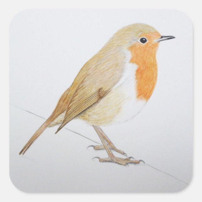 Pegatina Cuadrada Robin 2011 (Anverso)