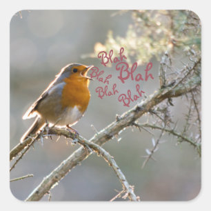 Pegatina Cuadrada Robin cantando en un árbol