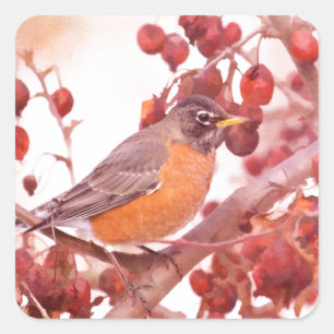 Pegatina Cuadrada Robin con Berries Rojas