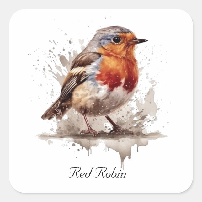 Pegatina Cuadrada Robo rojo pájaro lindo en acuarela (Anverso)