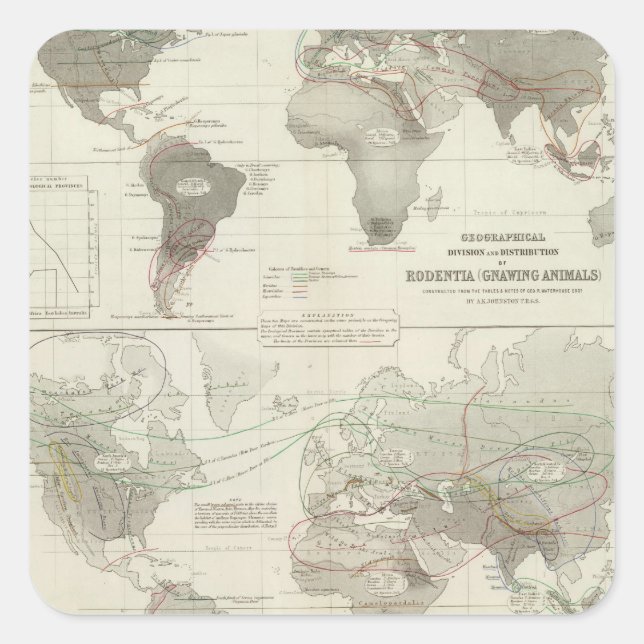 Pegatina Cuadrada Rodentia, Ruminantia (Anverso)