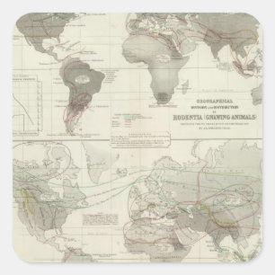 Pegatina Cuadrada Rodentia, Ruminantia
