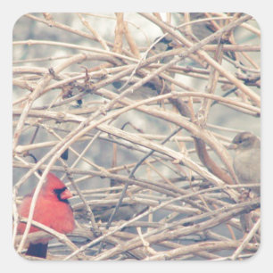 Pegatina Cuadrada Rojo en un invierno espantoso por angelandspot.