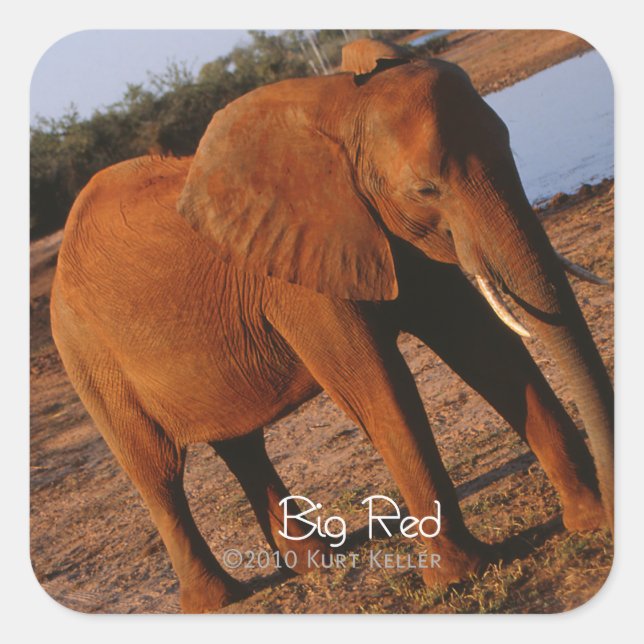 Pegatina Cuadrada Rojo grande (Anverso)