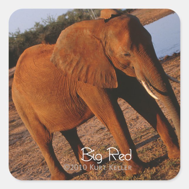 Pegatina Cuadrada Rojo grande (Anverso)