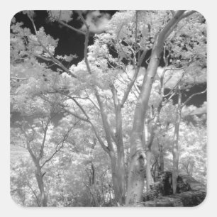 Pegatina Cuadrada Rojo infantil de árboles edificios y senderos en 