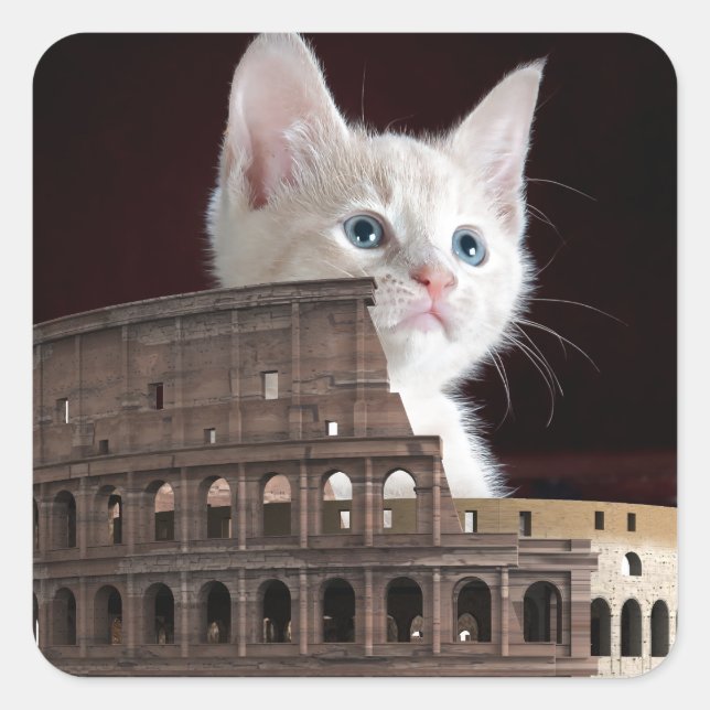 Pegatina Cuadrada roman kitty (Anverso)