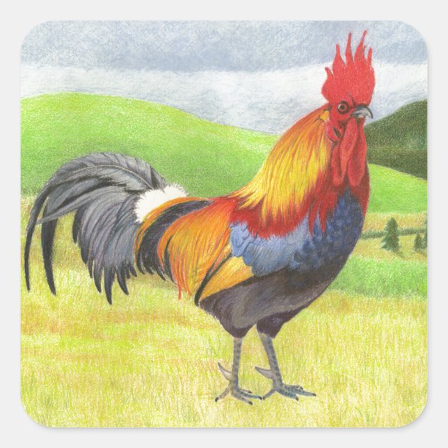 Pegatina Cuadrada Rooster (Anverso)