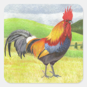 Pegatina Cuadrada Rooster