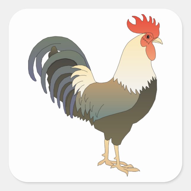 Pegatina Cuadrada Rooster (Anverso)