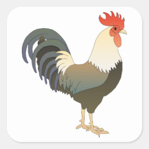 Pegatina Cuadrada Rooster