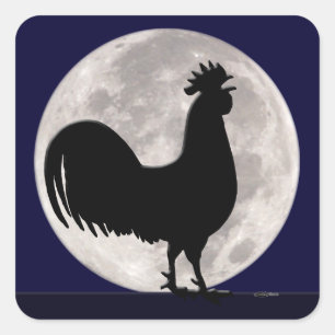 Pegatina Cuadrada Rooster a la luz de la luna