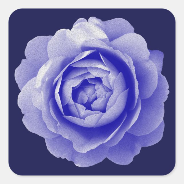 Pegatina Cuadrada Rosa azul (Anverso)