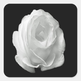 Pegatina Cuadrada rosa blanco sobre el fondo negro