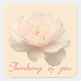 Pegatina Cuadrada rosa blanco y rosa