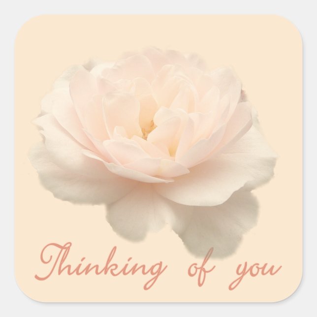 Pegatina Cuadrada rosa blanco y rosa (Anverso)