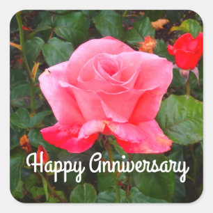 Pegatina Cuadrada Rosa de clase #1: Feliz aniversario a Pegatinas