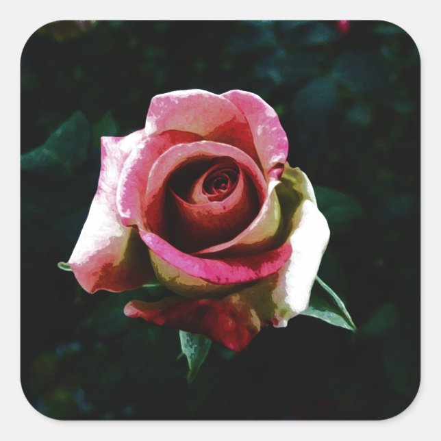 Pegatina Cuadrada Rosa roja pintada al óleo (Anverso)
