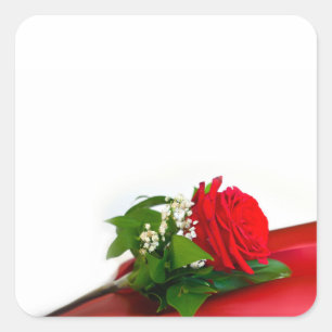 Pegatina Cuadrada Rosa Roja Única – Fondo Blanco Floral