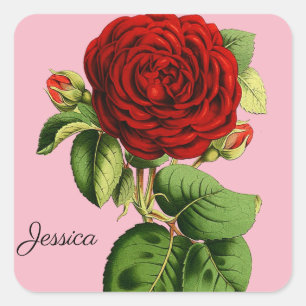 Pegatina Cuadrada Rosa roja vintage con tu nombre