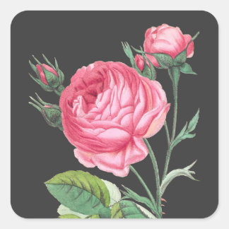 Pegatina Cuadrada Rosa rosa floral moderno