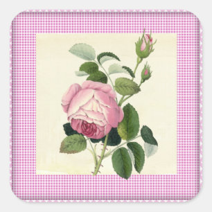 Pegatina Cuadrada Rosa Rosa Rosa Rosa Lino Antiguo Con Una Decoració