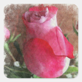 Pegatina Cuadrada Rosa Rosa Valentine