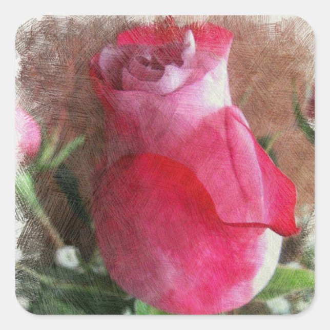 Pegatina Cuadrada Rosa Rosa Valentine (Anverso)