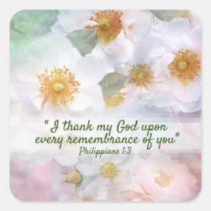 Pegatina Cuadrada Rosas blancas de bonito