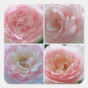 Pegatina Cuadrada Rosas bonitos