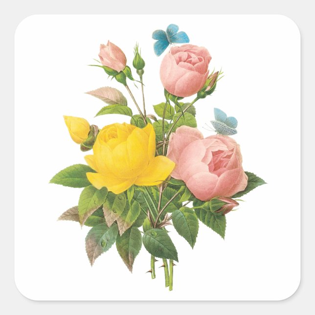 Pegatina Cuadrada Rosas de té rosa amarillo persa de Redoute (Anverso)