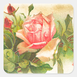 Pegatina Cuadrada Rosas en flor