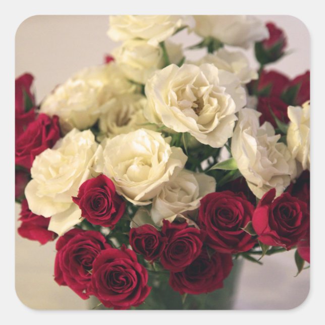 Pegatina Cuadrada Rosas rojos y blancos (Anverso)