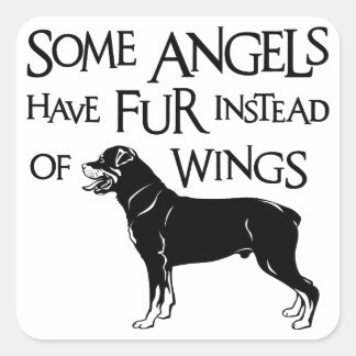 PEGATINA CUADRADA ROTTWEILER ANGEL