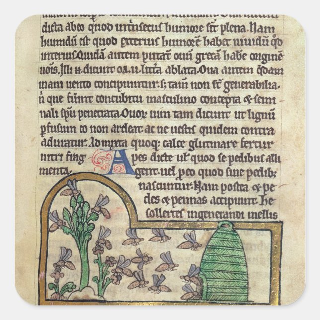 Pegatina Cuadrada Roy Página de texto con ilustracion de (Anverso)