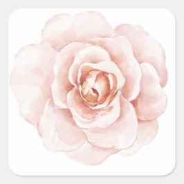 Pegatina Cuadrada Rubor Rosa Acuarela Floral Romántico Elegante
