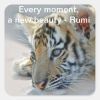 Rumi Beauty