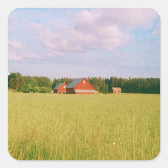 Pegatina Cuadrada Rustic summer field, Helsingia, Sweden (Anverso)
