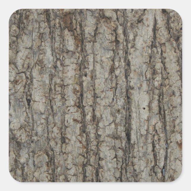 Pegatina Cuadrada Rústica de camuflaje de barca de árbol natural (Anverso)