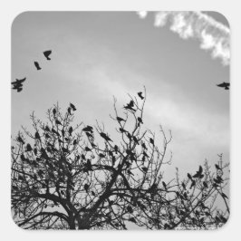 Pegatina Cuadrada Ruta de vuelo