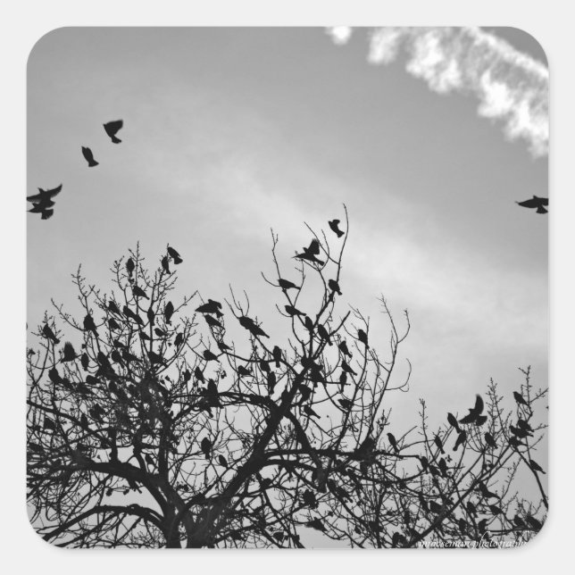 Pegatina Cuadrada Ruta de vuelo (Anverso)