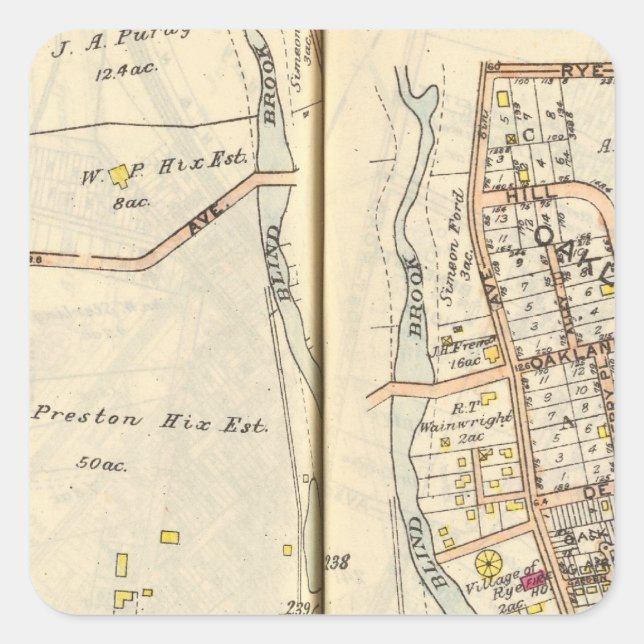 Pegatina Cuadrada Rye 238239 (Anverso)